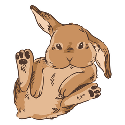 Hand drawn sitting rabbit animal PNG Design Transparent PNG