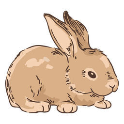 Hand drawn rabbit bunny animal PNG Design Transparent PNG