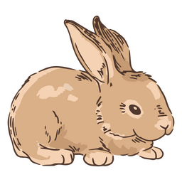 Handgezeichnetes Kaninchen-Häschen-Tier PNG-Design