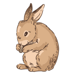 Hand drawn eating rabbit bunny animal PNG Design