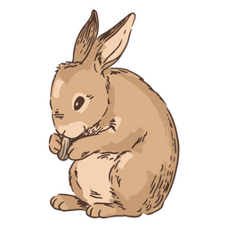 Mão desenhada comendo coelho coelho animal Desenho PNG
