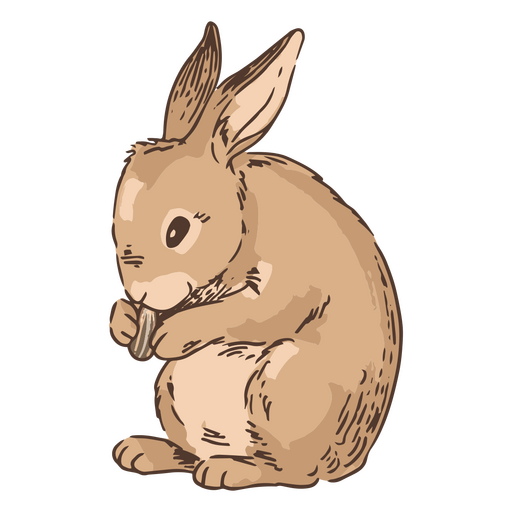 Hand drawn eating rabbit bunny animal PNG Design