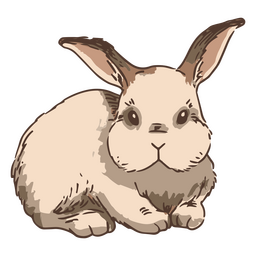 Animal de conejito de conejo lateral dibujado a mano Diseño PNG