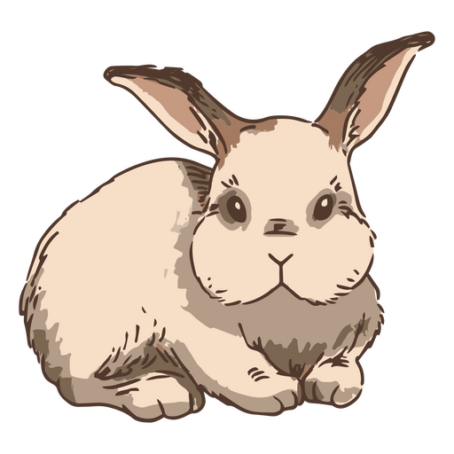 Animal de conejito de conejo lateral dibujado a mano