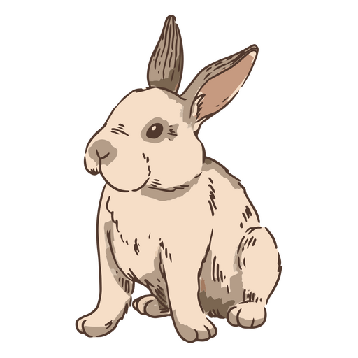 Hand drawn bunny rabbit
