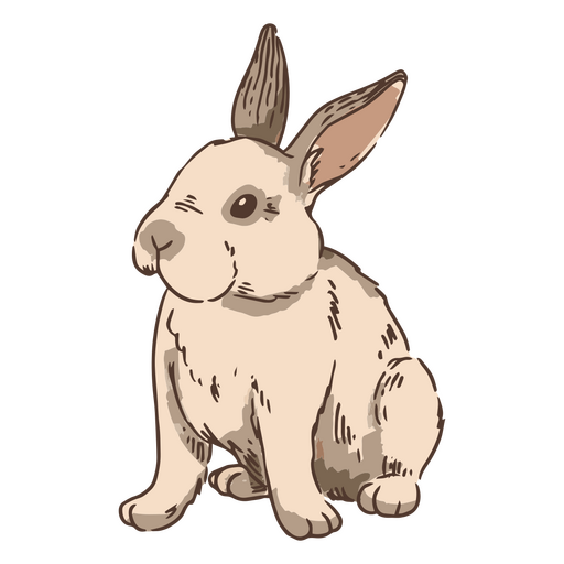 Hand drawn bunny rabbit PNG Design