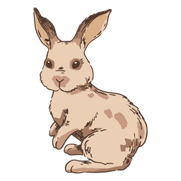 Hand drawn side rabbit bunny PNG Design Transparent PNG