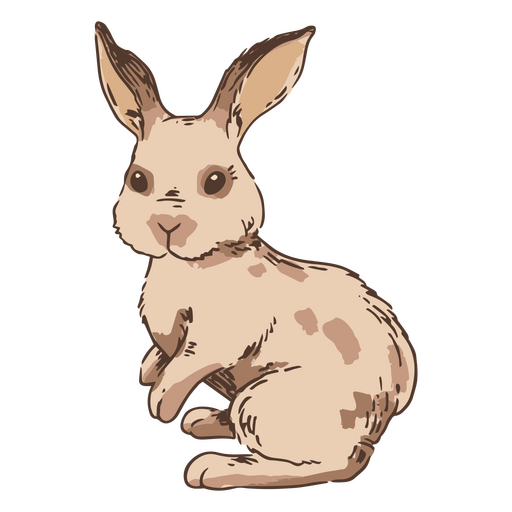 Hand drawn side rabbit bunny