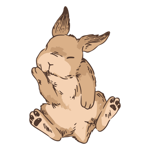 Sleepy Bunny Watercolor Illustration, Bunny, Rabbit, Cute Rabbit PNG  Transparent Image and Clipart for Free Download