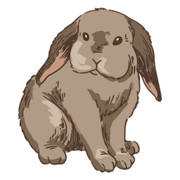 Kaninchen vorne Tierillustration PNG-Design