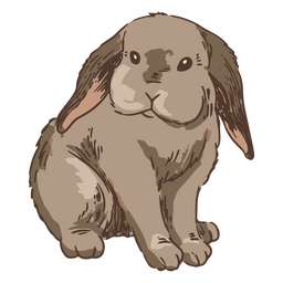 Rabbit front animal illustration PNG Design Transparent PNG