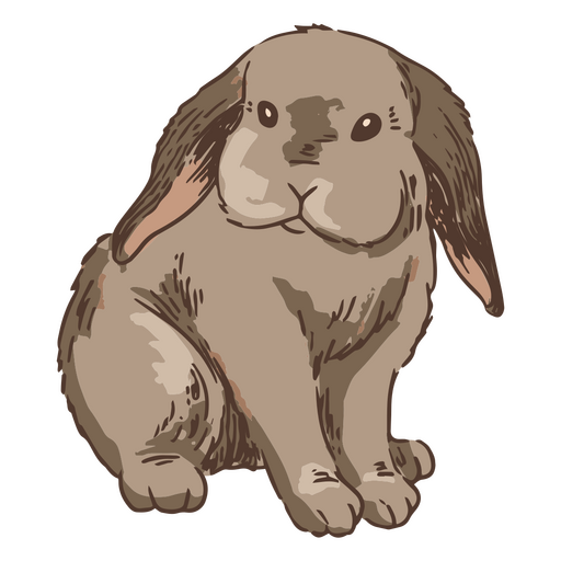 Ilustração animal frontal de coelho Desenho PNG