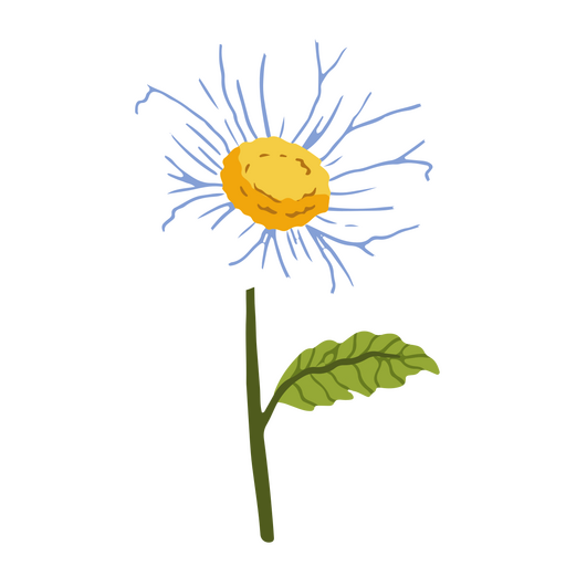 Daisy flower semi-flat plant PNG Design
