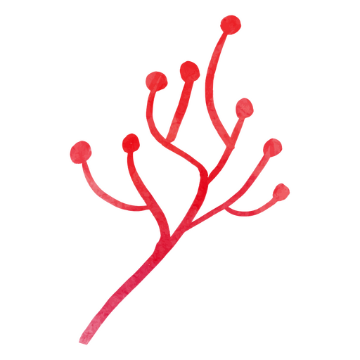 Roter Zweig mit roten Punkten PNG-Design
