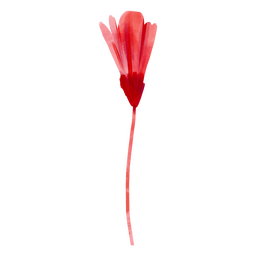 Red watercolor flower bud PNG Design