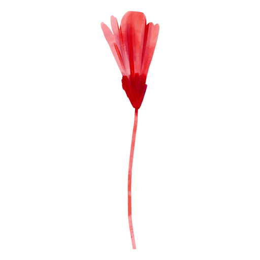 Rote Aquarellblumenknospe PNG-Design
