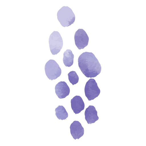 Group of purple grapes PNG Design