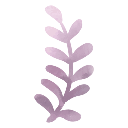 buquê de folhas lilás Desenho PNG