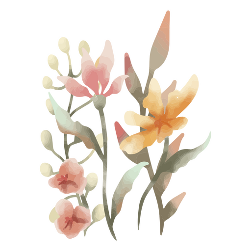 Aquarela linda flor delicada planta natureza Desenho PNG