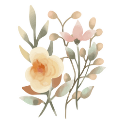 Aquarela linda flor delicada planta natureza Desenho PNG
