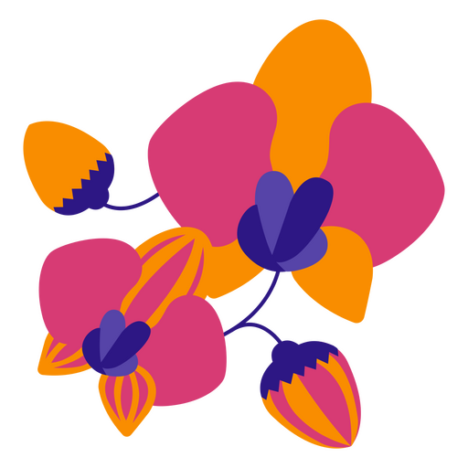 Bunte Orchideen flach PNG-Design