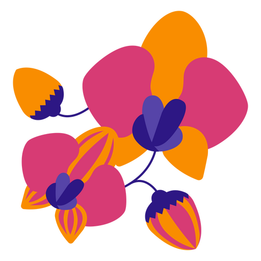 Orquídeas coloridas planas Desenho PNG