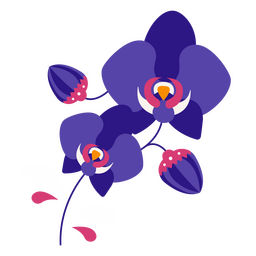 Orquídeas planas roxas Desenho PNG