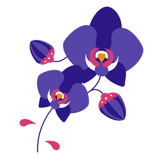 Flache Orchideen lila PNG-Design