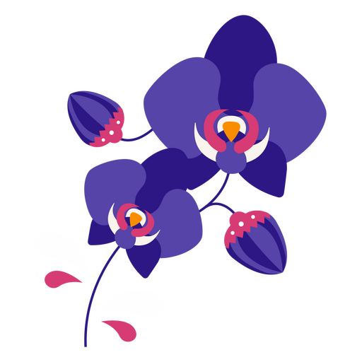 Orquídeas planas roxas Desenho PNG