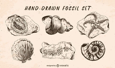 Conjunto de fósiles dibujados a mano