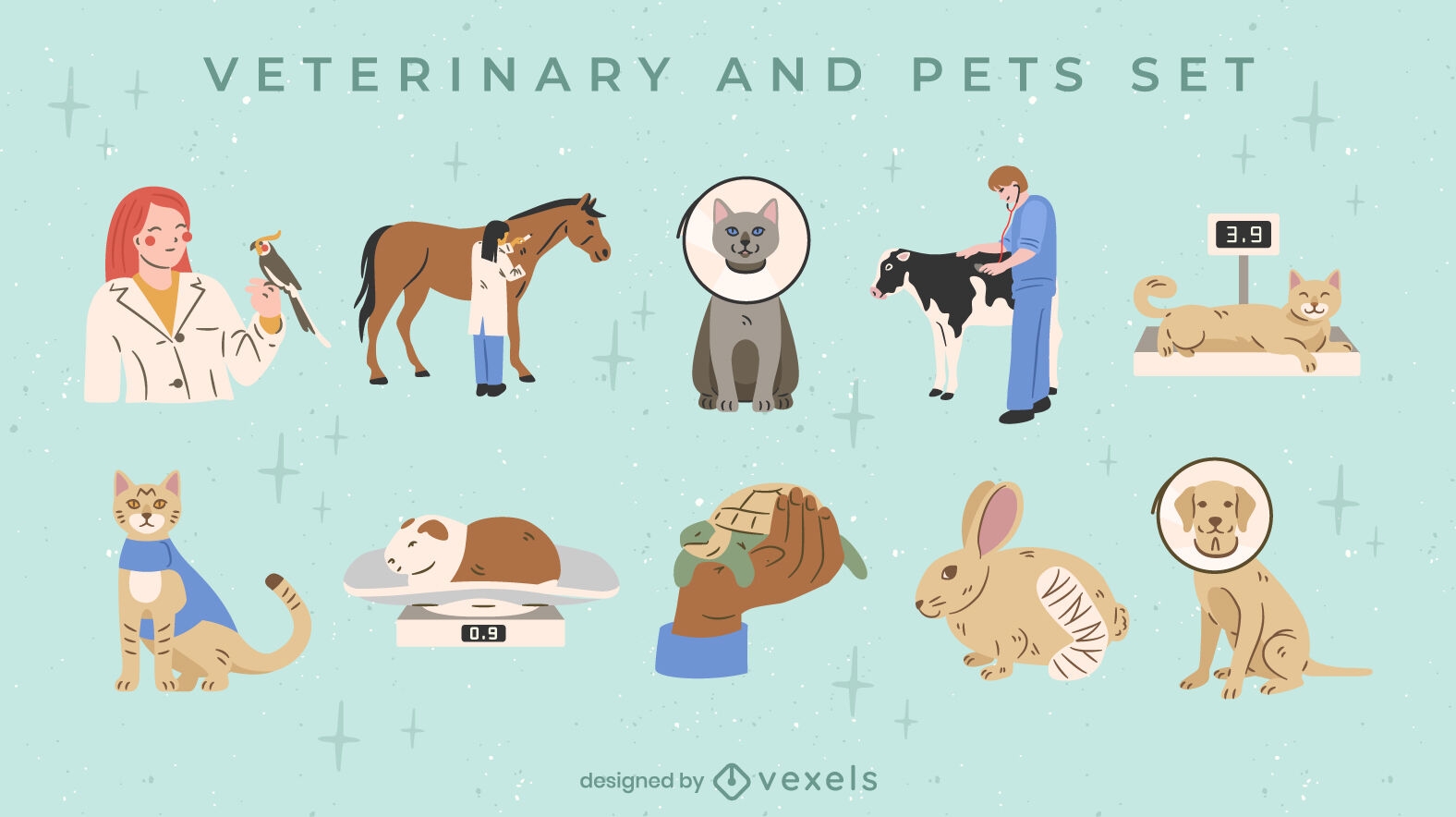 Conjunto de animales y médicos veterinarios.