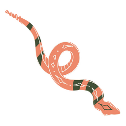 Cinco de mayo snake icon PNG Design