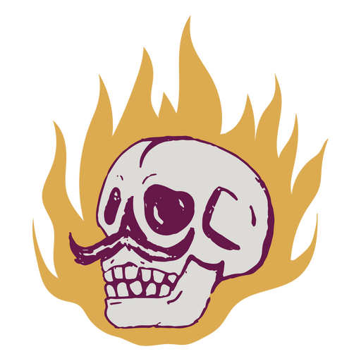 Cinco de mayo anti war skull fire icon