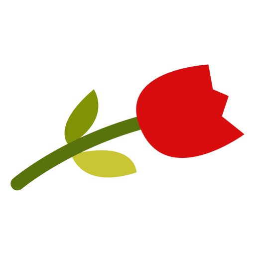Cinco de mayo side flower rose icon