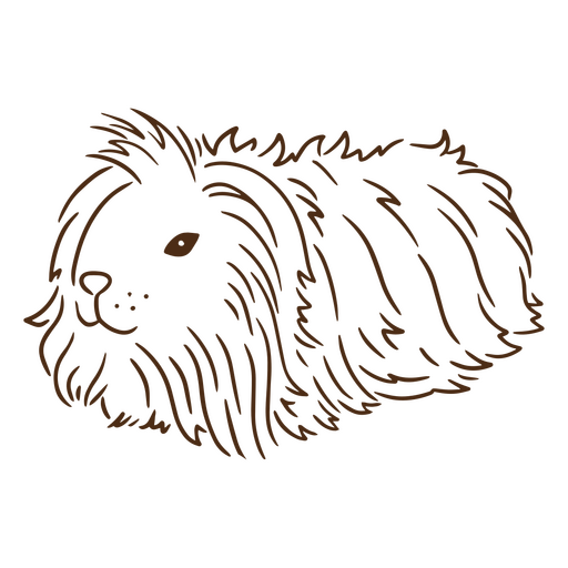 Corona de trazo de conejillo de indias Diseño PNG