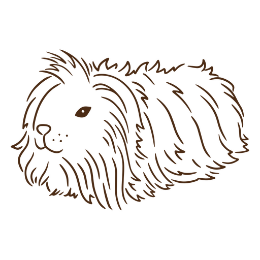 Guinea pig stroke coronet PNG Design