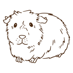 Meerschweinchen streichelt Himalaya PNG-Design