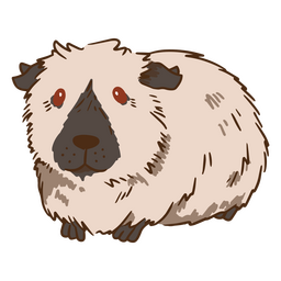 Curso de cor de cobaia himalaia Desenho PNG