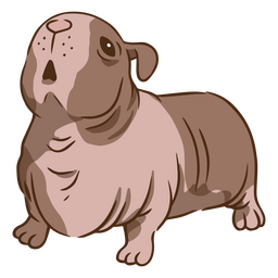 Trazo de color de conejillo de indias flaco Diseño PNG