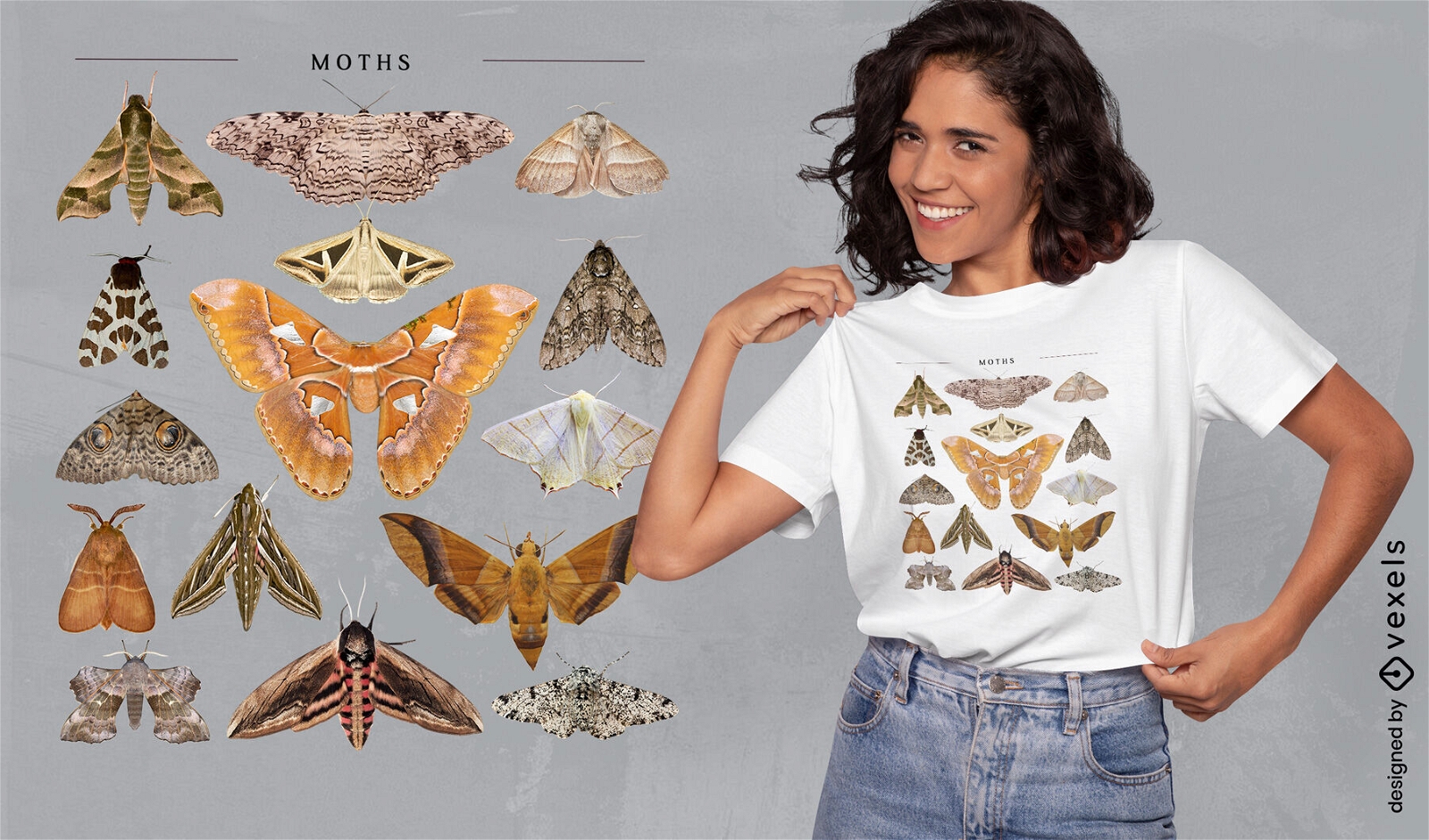 Diseño de camiseta de catálogo de mariposas y polillas.