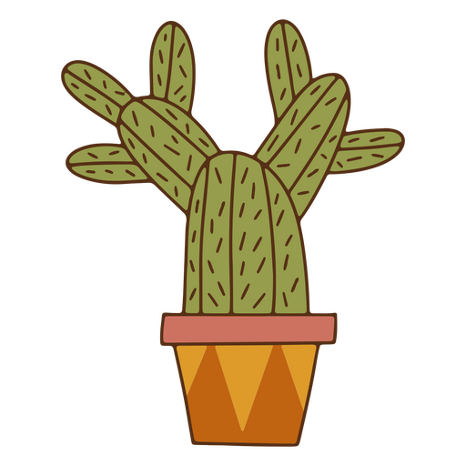 Cactus home decoration color stroke plant
