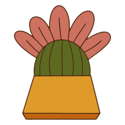 Cactus naturaleza decoración color trazo planta