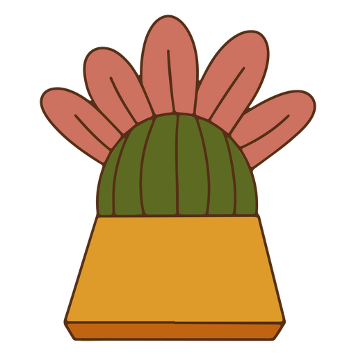 Cactus naturaleza decoración color trazo planta