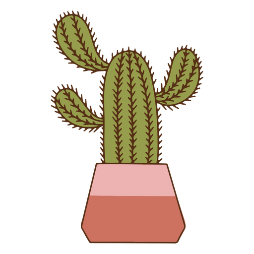 Naturaleza decoraci?n cactus color trazo planta Diseño PNG