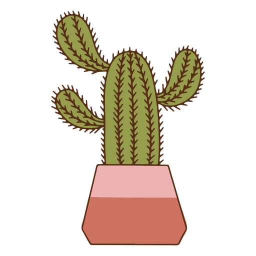 Planta de traçado de cor de cacto de decoração de natureza Desenho PNG