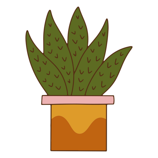 Naturkaktus Dekoration Farbstrich Pflanze PNG-Design