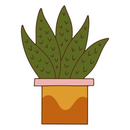 Planta de traçado de cor de decoração de cacto natural Desenho PNG