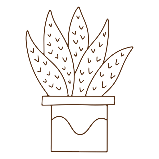 Naturkaktus-Dekorationsschlagpflanze PNG-Design
