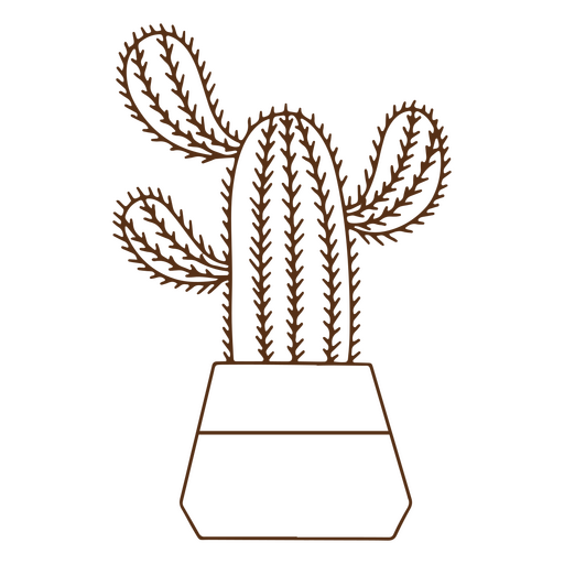 Curso de planta de decoração de cacto natural Desenho PNG