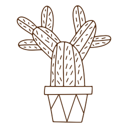 Cactus stroke plant PNG Design